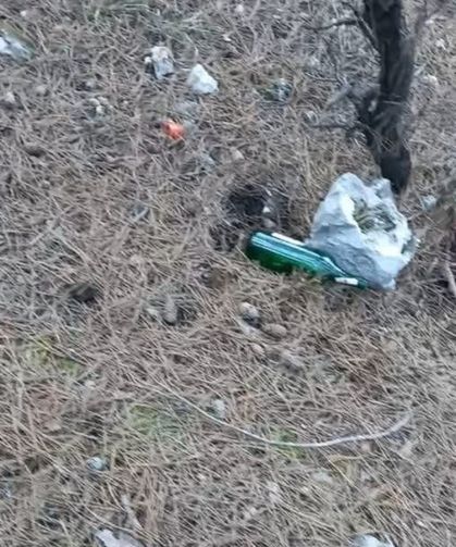 Bu görüntü Kütahya’ya yakışmadı! Orman çöplüğe döndü