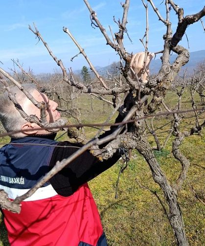 Simav’da yem bitkileri ve hububatta verim analizi