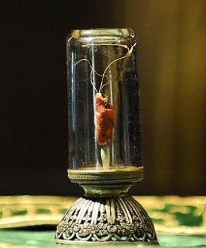 Kütahya’da Sakal-ı Şerif ziyareti yapılacak camiler açıklandı