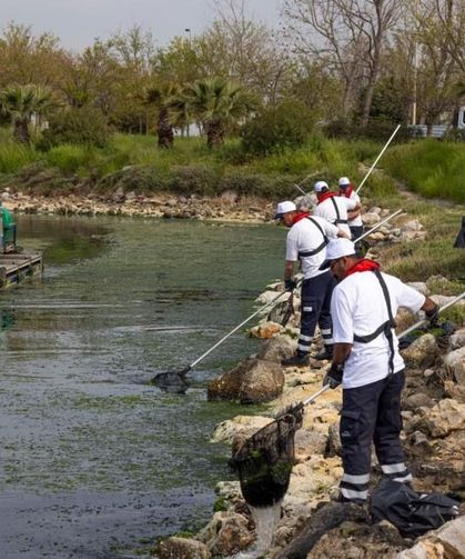 Kütahya’dan doğan kirlilik İzmir’i vurdu "Gediz Körfez'i kirletiyor"