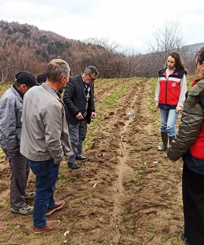 Kütahya’da ahududu bahçelerinde denetim: Yüzde 75 hibe desteği sahada