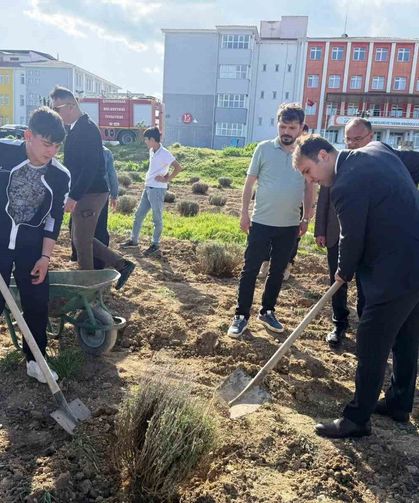 Çavdarhisar’da geleceğin üreticileri lavanta fidelerini toprakla buluşturdu