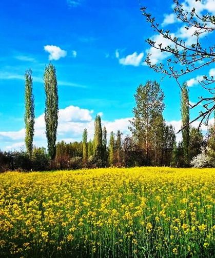Kütahya'da fotoğraf makinesini alan buraya gidiyor, sarı altın göz kamaştırıyor