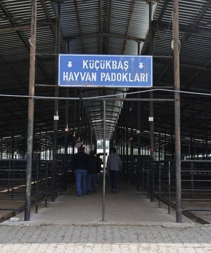 Kütahya’da kurban pazarı heyecanı başladı: 188 üretici başvurdu