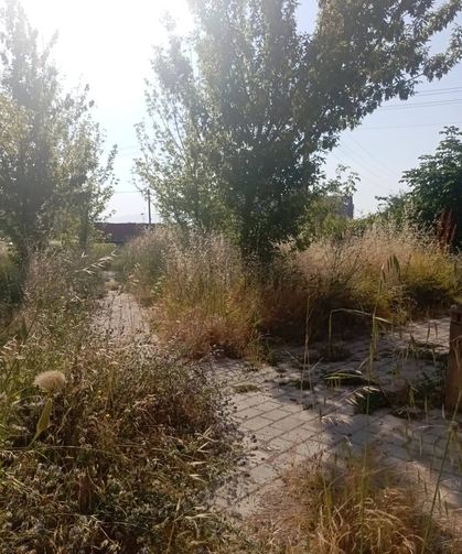 Kütahya’da Bakımsız Alan Mahalleliyi Bıktırdı
