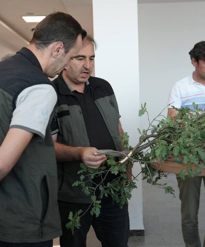 Kütahya Ormanlarında Veri Kalitesi Artacak