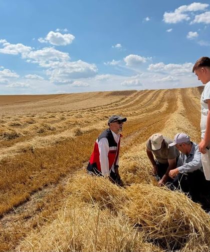 Aslanapa’da biçerdöverler hasat öncesi mercek altına alındı