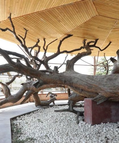 Osmanlı’nın 750 Yıllık Sessiz Tanığı Domaniç’te Hâlâ Ayakta