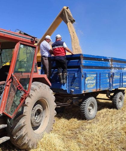 Kütahya'da tarım güçleniyor: Milli arpa çeşitlerinin hasadı yapıldı