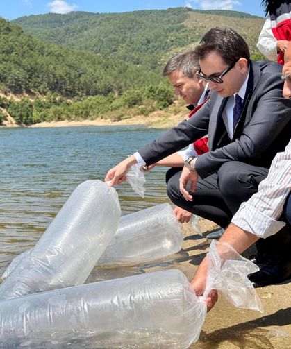 Kütahya'da balık bereketi: 80 bin adet sazan balığı yavrusu baraja bırakıldı