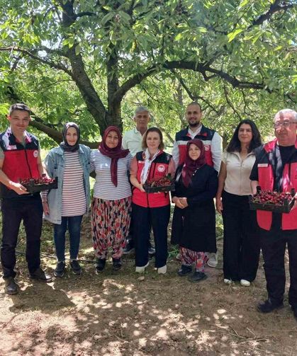 Kütahya'da organik tarım ve iyi tarım projeleri değerlendirildi