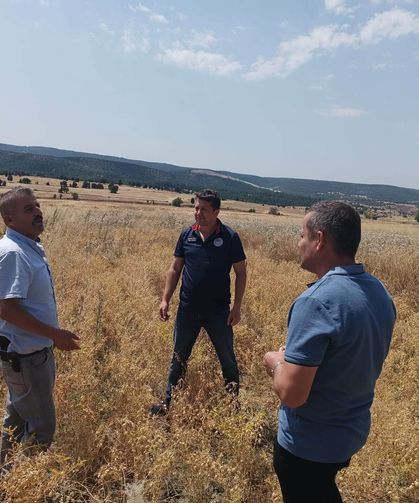 Tavşanlı'da nohut üretimine yönelik arazi kontrolleri gerçekleştirildi