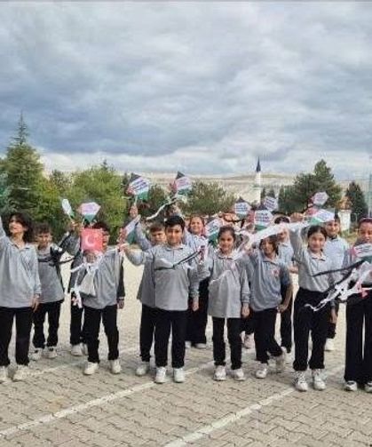 Hisarcık'ta 'Uçurtmalar Vurulmasın, Gökyüzü Çocuklara Kalsın' etkinliği düzenlendi