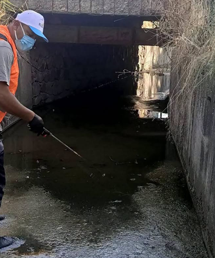 Gediz’de Uçkun ve Haşereye Karşı Mücadele Sürüyor