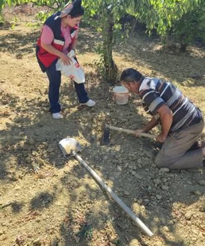 Pazarlar'da tarımda verimi artırmak için toprak analizi çalışmaları gerçekleştirildi