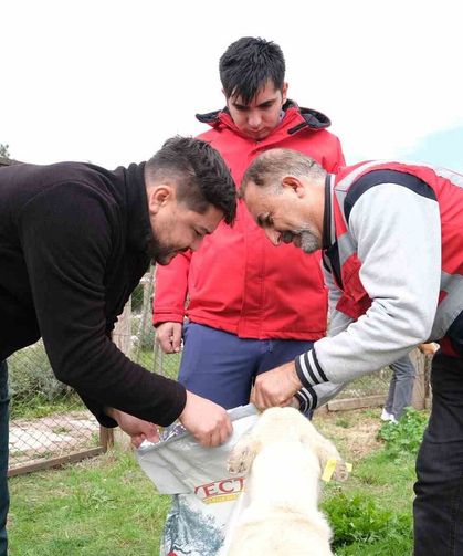 Kütahya'da  Vakıflar Bölge Müdürlüğü'nden sahipsiz hayvanlara anlamlı destek