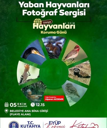 Yaban hayatının eşsiz görüntüleri Kütahya'da: Fotoğraf sergisinin tarihi açıklandı