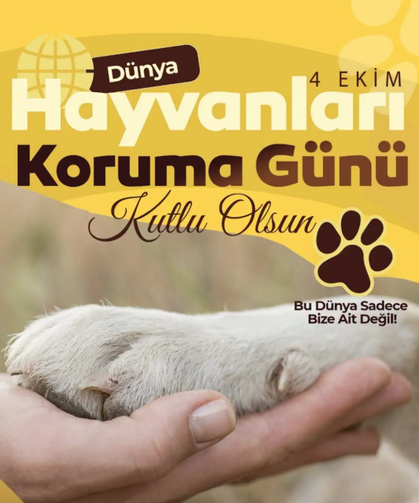 Kütahya’da 4 Ekim Dünya Hayvanları Koruma Günü'nde farkındalık mesajları