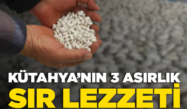 Kütahya'nın 3 asırlık sır lezzeti: Sarıot fasulyesinin tohumu neden farklı?