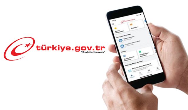 e-Devlet’te Unuttuğunuz Paralarınızı Hemen Sorgulayın