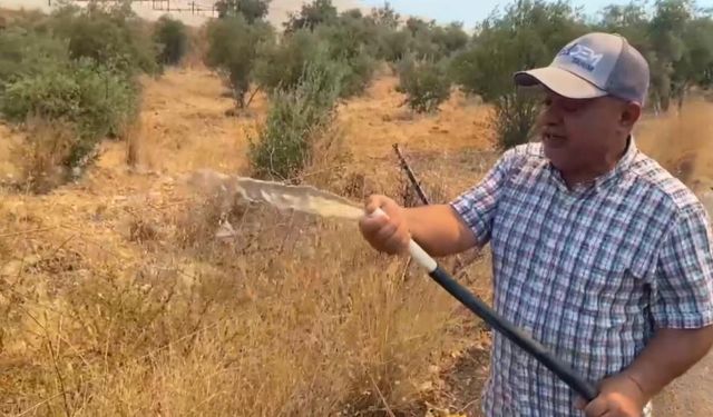 Alevler Evlerin Dibine Dayandı: Hortumlarla Mücadele Başladı