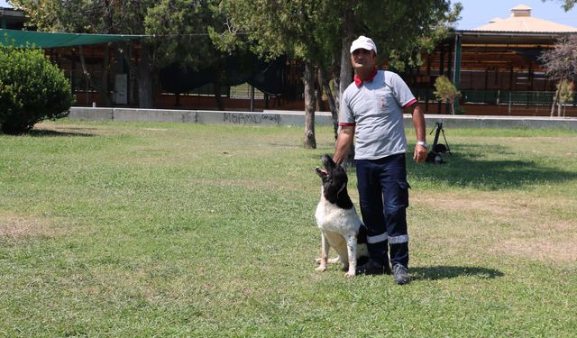 Yürek Isıtan Dostluk: İnsan ve Patili Can