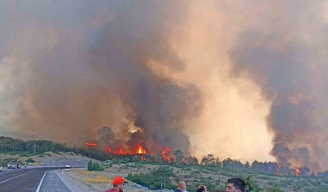 Başkan Bozbey'den açıklama, "Yangının 6 farklı bölgede bir anda başlamış olması düşündürücü"