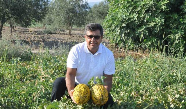 Kırkağaç Kavunu 38. AB Tescilli Ürün Oldu