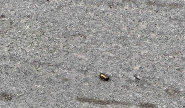 Kurusıkı tabancayla atış yapan şahıslar göz altına alındı