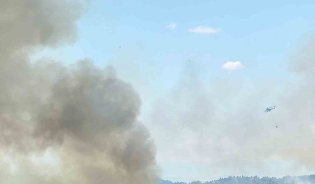 Kütahya'nın Yanı Başında Yangın Tehlikesi
