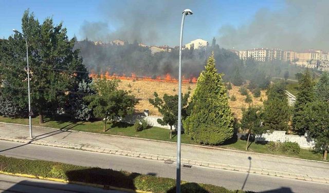 Parkta çıkan yangın endişeye neden oldu