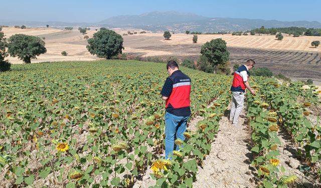 Kütahya'da Çiftçiye Teknik Destek: Tohumlar Takipte