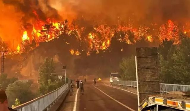 Eskişehir’de Orman Yangınında 11 Kahraman Şehit Oldu