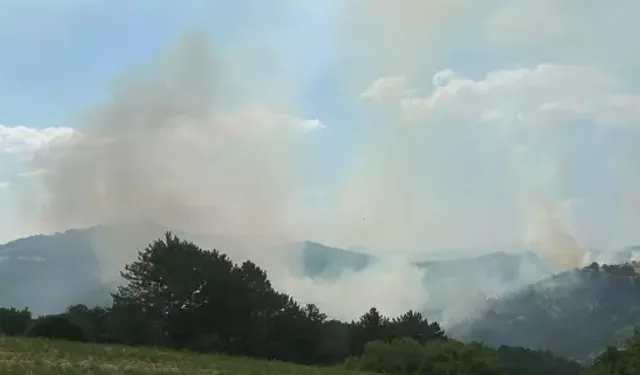 Orman yangını 19 saatte kontrol altına alındı