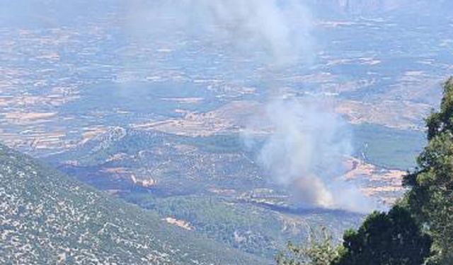 Muğla’da alevlere havadan ve karadan müdahale