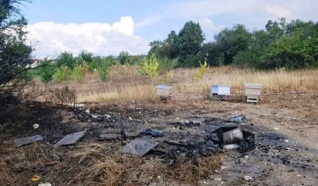 Kütahya’da Yangın: Arı Kovanları Alevlere Teslim