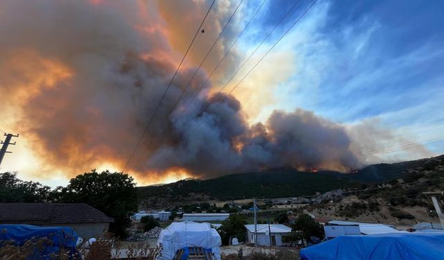 Orman Yangını Çiftlikleri Sardı: Büyükbaşlar Kurtarıldı