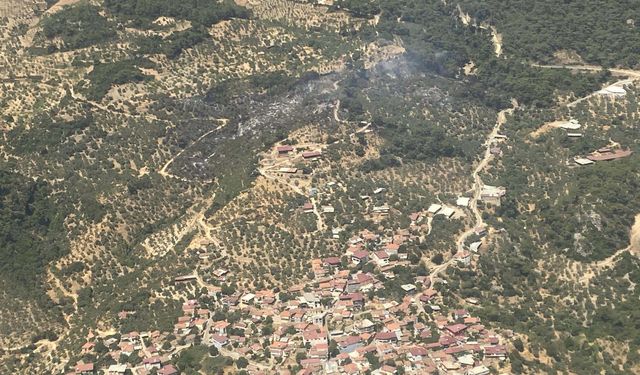 Aydın’da alevlere müdahale sürüyor