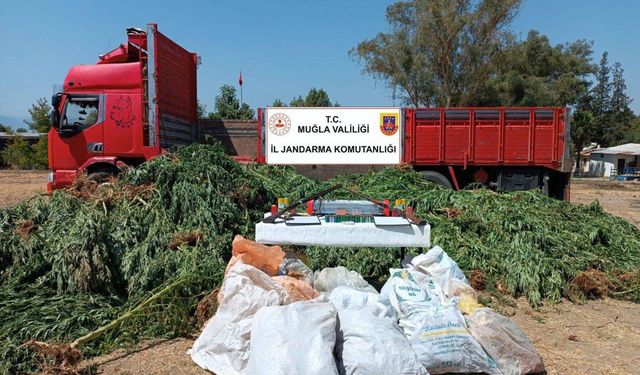 Dev uyuşturucu operasyonu: 3 kişi gözaltında