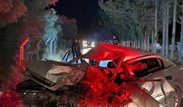 Otomobil Ağaca Çarptı: 30 Yaşındaki Sürücü Öldü