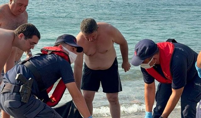 Tekne Pervanesi Caretta Carettaya Çarptı, Sahil Güvenlik Müdahale Etti