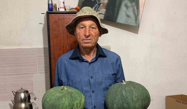 Dededen Kalan Tohumla Çavuşlar Kavunu Geri Döndü