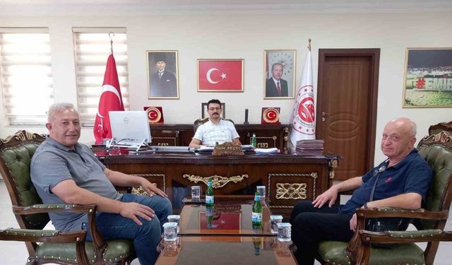 Emirdağ Kaymakamlığı Harekete Geçti: Köpekler Toplatılıyor