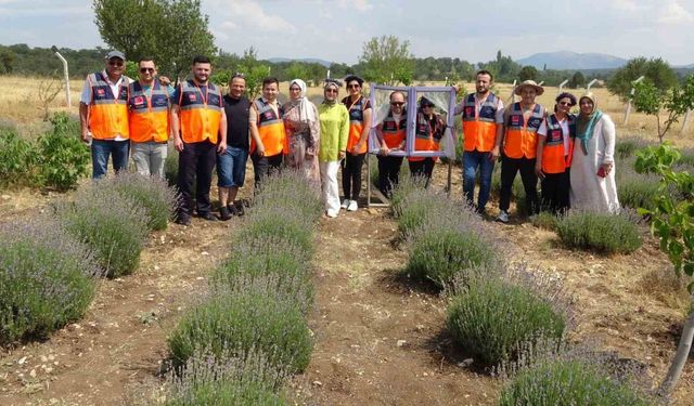Kütahya’da Lavanta Kokulu Çevre Duyarlılığı Etkinliği