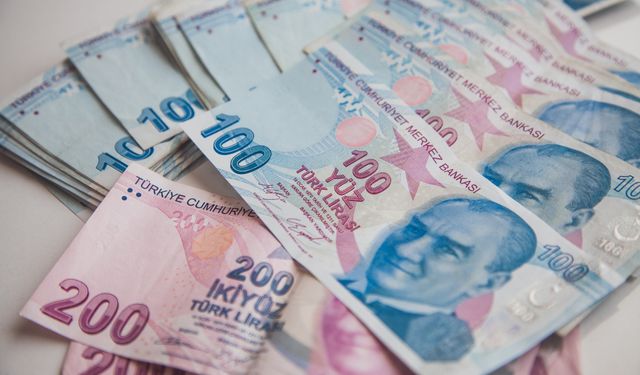 Temmuz ayında fiyatı en çok artan ürünler belli oldu