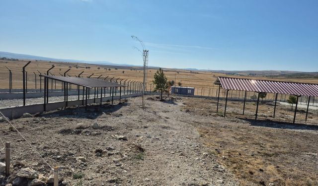 Sessiz Canlara Yeni Nefes: Kütahya’da Özel Alan Tahsis Edildi
