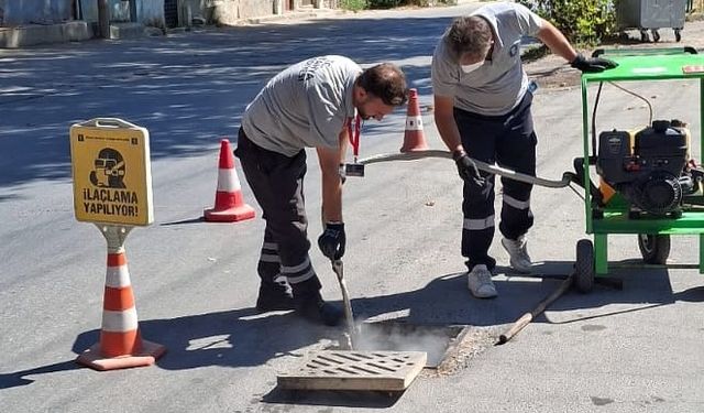 Kütahya Belediyesi Zararlılara Karşı Kesintisiz İlaçlama Çalışmalarını Sürdürüyor