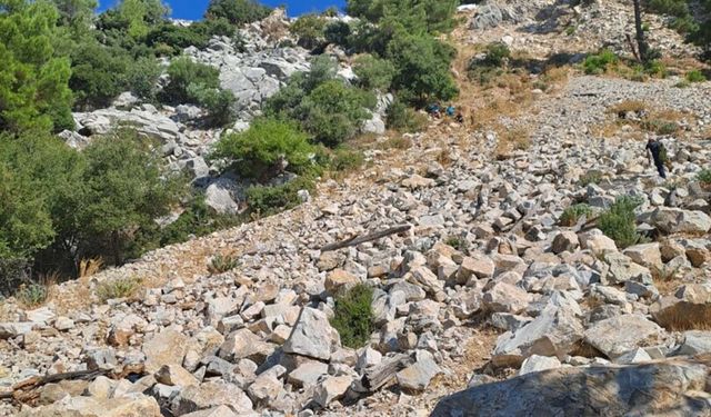 100 metrelik uçurumdan düşen arıcı hastanede