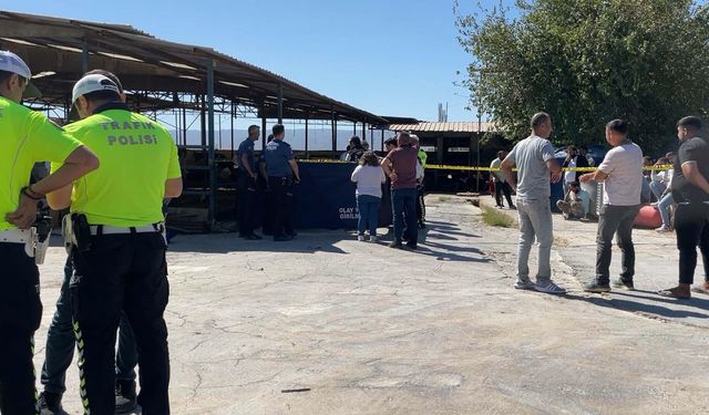 3 yaşındaki çocuğun feci sonu: Kamyon fark etmeden çarptı