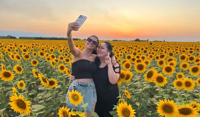 Aydın'da ayçiçeği tarlaları fotoğrafçıların uğrak durağı oldu